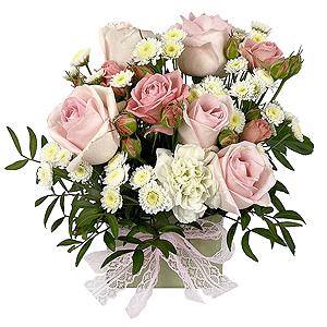 Lovely smile with delivery Astrakhan