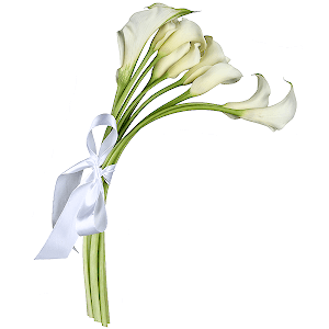 Amazing arum lilies with delivery Astrakhan