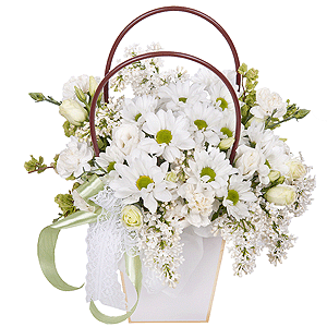 Dew drop with delivery Astrakhan