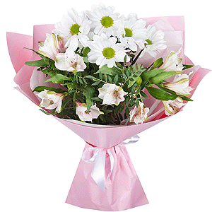 Tender dream with delivery Astrakhan