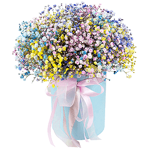 Sparkle of joy with delivery Astrakhan