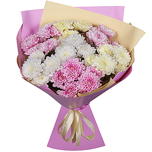 Timeless with delivery Astrakhan