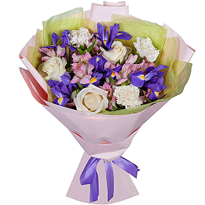 Calypso with delivery Astrakhan
