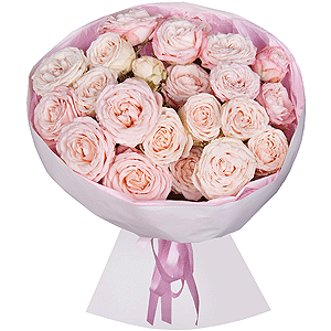 Peony sprayrose - 11, Wrapping Paper