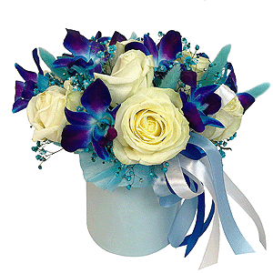 Secrets of the Moon with delivery Astrakhan