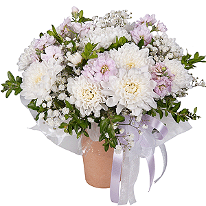 Baltica White Spray Chrysanthemum - 1, Gypsophila - 4, Matthiola Lilac - 2, Cardboard pot (cup), Oasis, Pistachio, Wrapping Paper