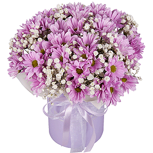 Lilac Dreams with delivery Astrakhan