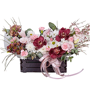 Dawn Queen with delivery Astrakhan