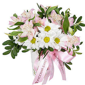 Bacardi White Spray Chrysanthemum - 1, Alstromeria white, soft pink - 6, Cardboard pot (cup), Oasis, Ribbon, Pistachio