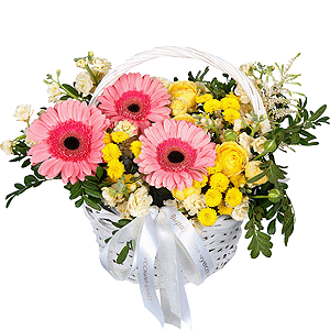 Gerbera pink - 7, Spray rose: yellow, orange 50 cm - 1, White Matthiola - 3, Santini Yellow Spray Chrysanthemum - 7, Small Basket, Oasis, Small Basket, Pistachio, Ribbon, Astilbe