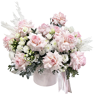 Royal Velvet with delivery Astrakhan