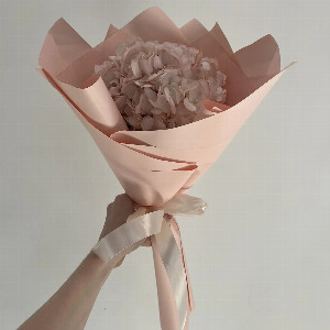 "Powder Hydrangea" Bouquet with delivery Astrakhan
