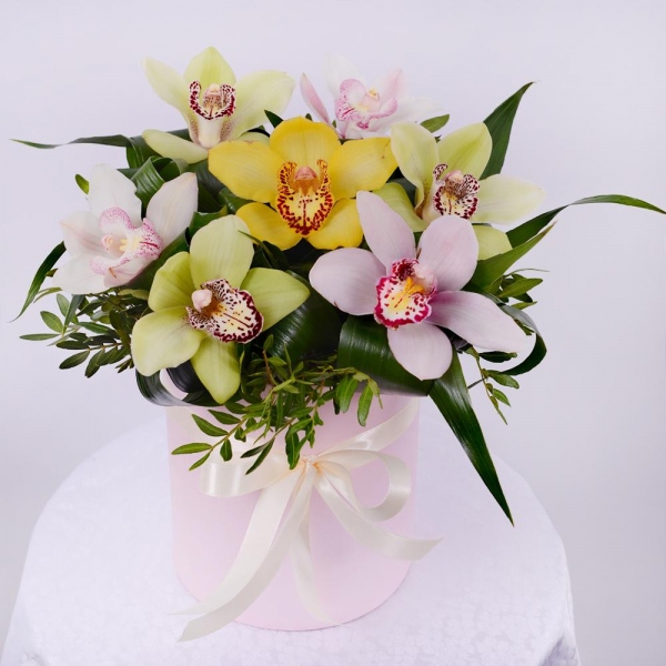 White Cymbidium Orchid Bud - 4, Orchid bud yellow/brown Cymbidium - 2, Green Cymbidium Orchid Bud - 3, Round flower box small , Oasis, Aspidistra (1 pc.), Pistachio, Ribbon, Flask for orchids