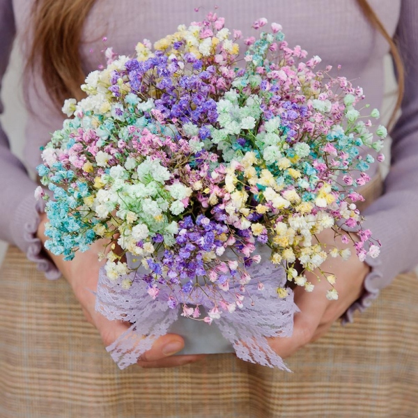 Colored gypsophila - 7, Oasis, Ceramic pot, Film, Ribbon
