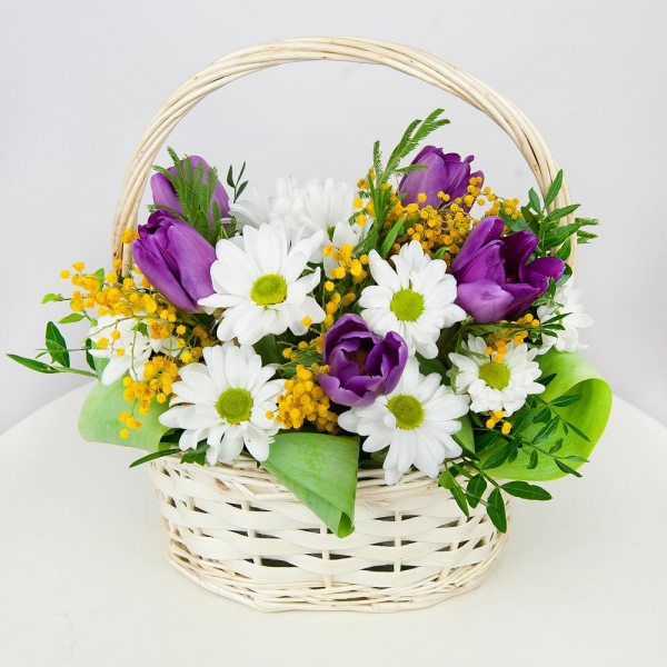 Lilac tulip - 7, Bacardi White Spray Chrysanthemum - 1, Mimosa - 2, Small Basket, Oasis, Pistachio