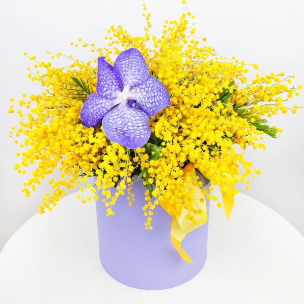 Vanda Orchid bud - 3, Mimosa - 11, Round flower box small , Film, Ribbon, Flask for orchids, Oasis