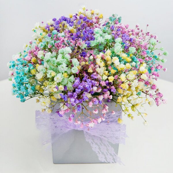 Colored gypsophila - 9, Oasis, Ceramic pot, Film, Ribbon