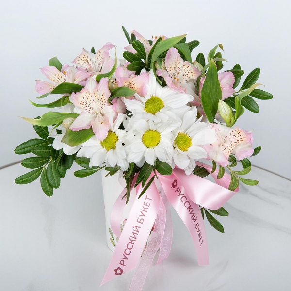 Bacardi White Spray Chrysanthemum - 1, Alstromeria white, soft pink - 4, Cardboard pot (cup), Oasis, Ribbon, Pistachio