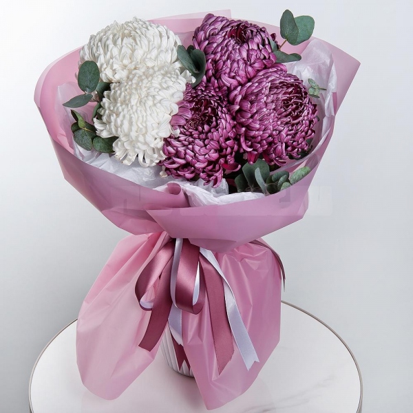 Chrysanthemum Bigoudi purple - 7, Eucalyptus, Wrapping Paper