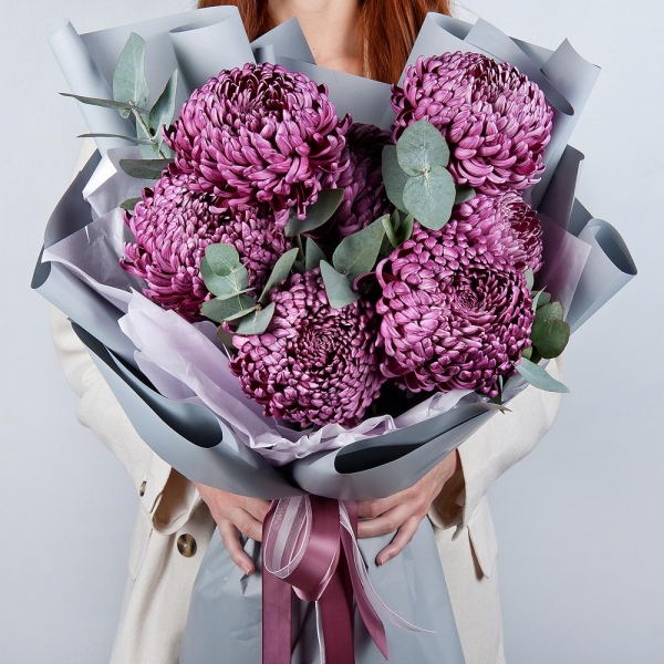 Chrysanthemum Bigoudi purple - 11, Eucalyptus, Wrapping Paper
