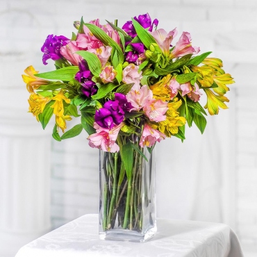 Alstroemerias - 11, Ribbon