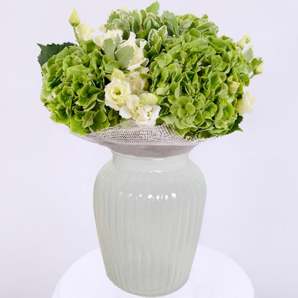 Green Hydrangea - 4, lisianthus - 7, Pittosporum, Jute 1 meter, Ribbon