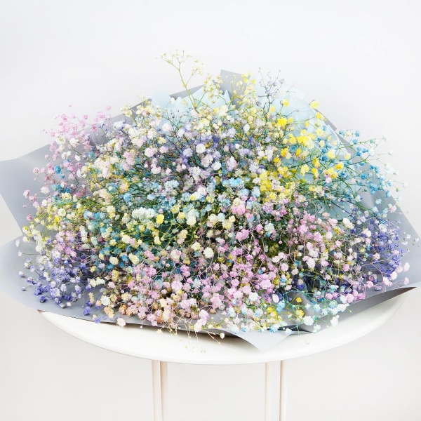 Colored gypsophila - 15, Wrapping Paper, Ribbon