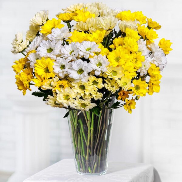 Bacardi Yellow Spray Chrysanthemum - 12, Bacardi White Spray Chrysanthemum - 5, Ribbon