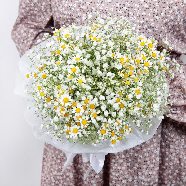 Gypsophila - 6, Chamomile - 6, Ribbon, Wrapping Paper