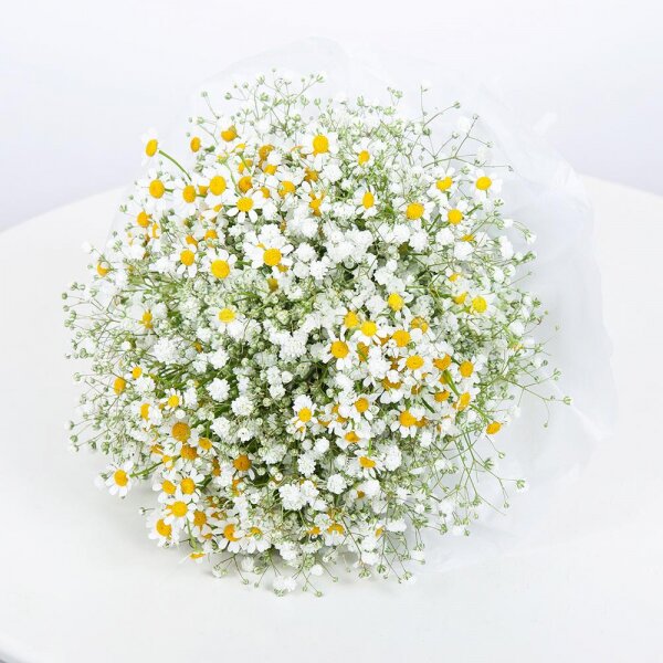 Gypsophila - 8, Chamomile - 7, Ribbon, Wrapping Paper