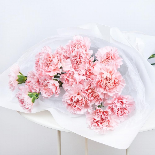 Pink carnation - 31, Wrapping Paper, Ribbon