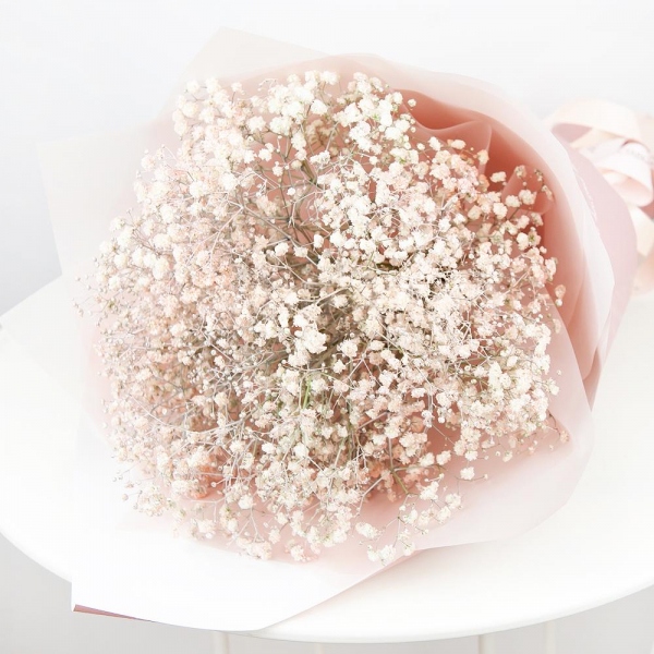 Colored gypsophila - 9, Wrapping Paper, Ribbon