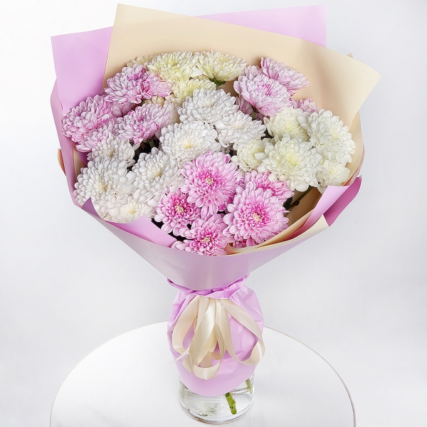 Baltica White Spray Chrysanthemum - 11, Wrapping Paper, Ribbon