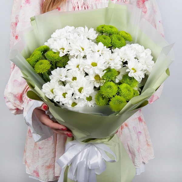 Bacardi White Spray Chrysanthemum - 6, Athos pom Feeling Green - 5, Wrapping Paper